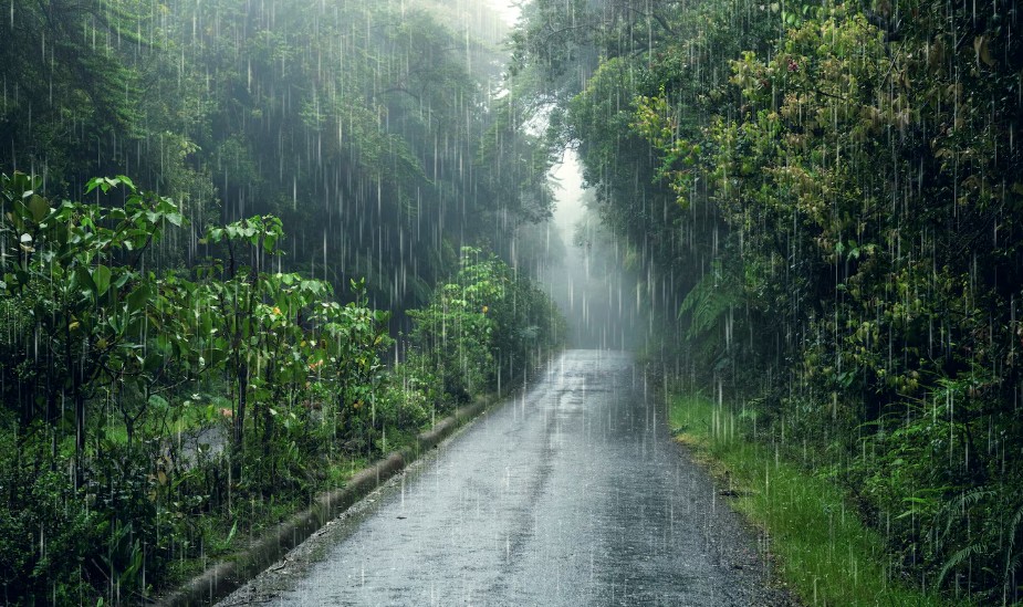 Indoor mall and rainy day activities in Monroeville